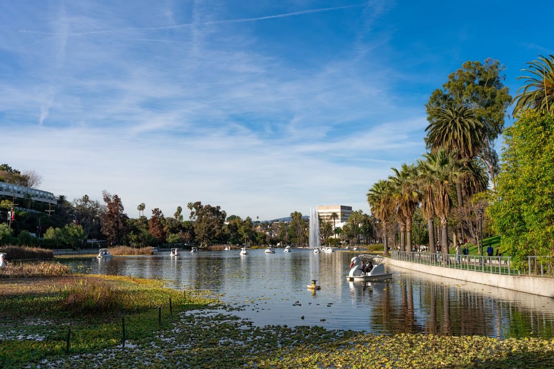 Echo Park Lake with paddle boats and palm trees under a clear blue sky