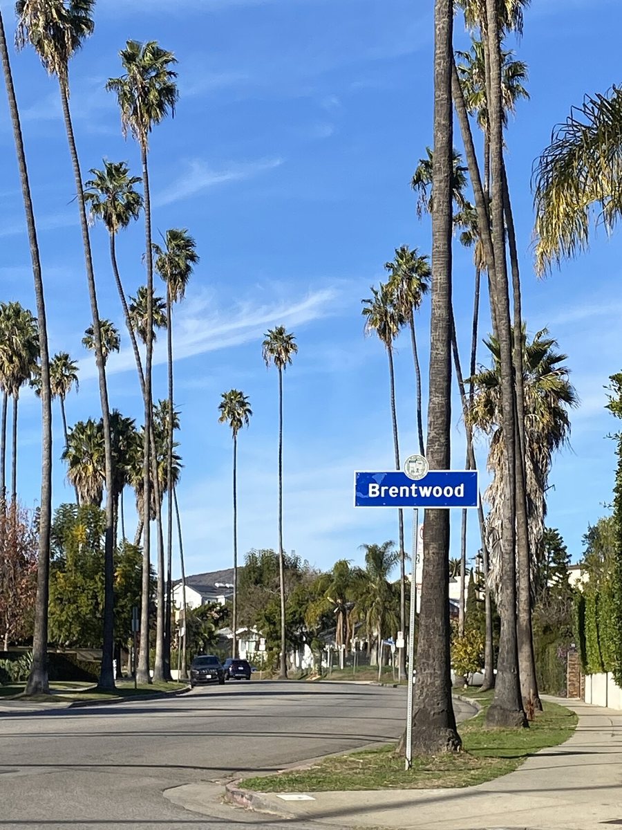 Representative view of Brentwood, Los Angeles