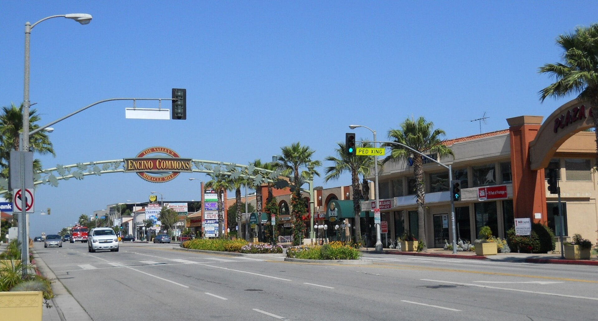 Representative view of Encino, Los Angeles